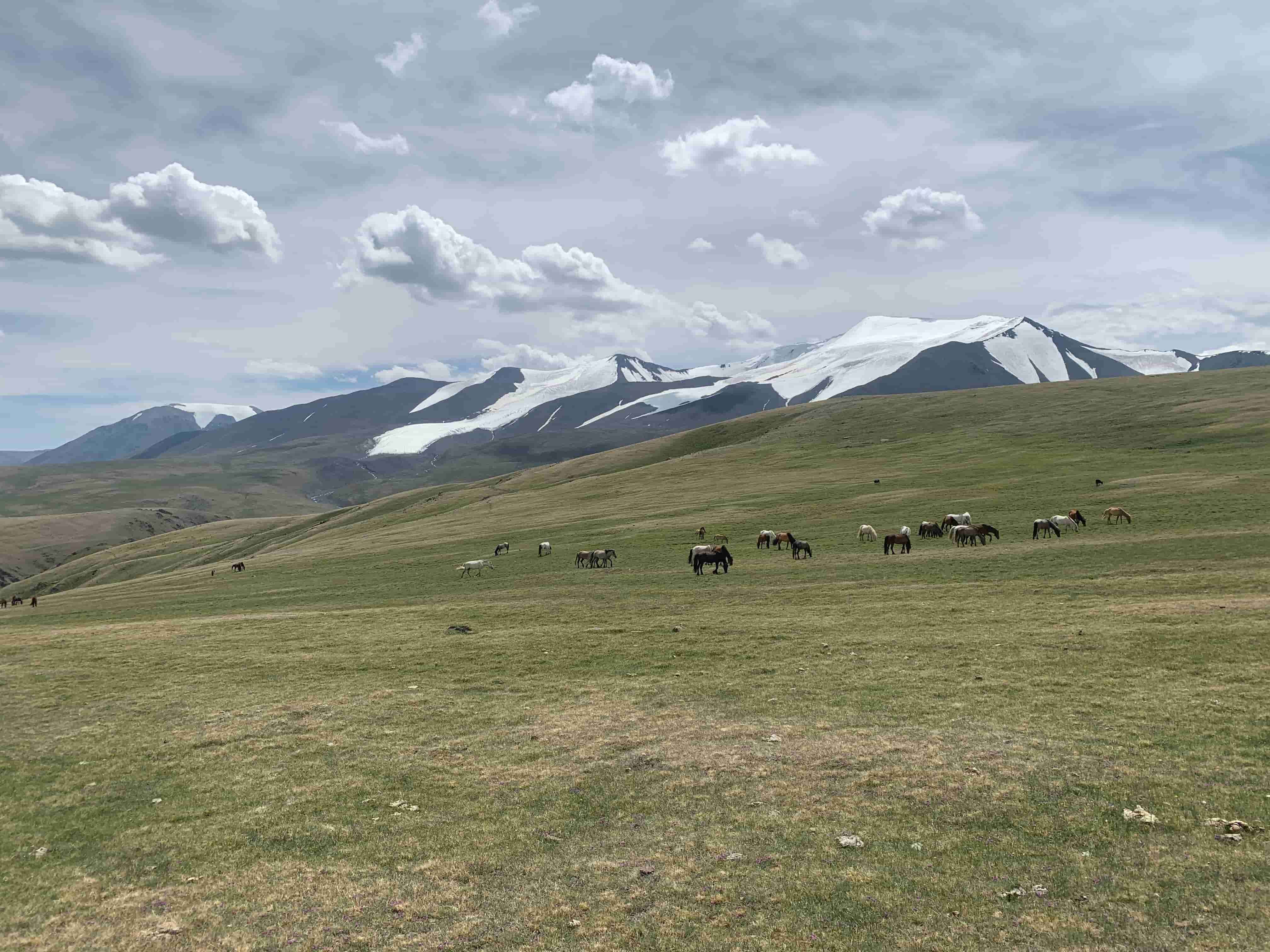 Tsambagarav Mountain